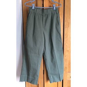 J.Crew Petite Astrid wide-leg chino pant size medium tall NWT
